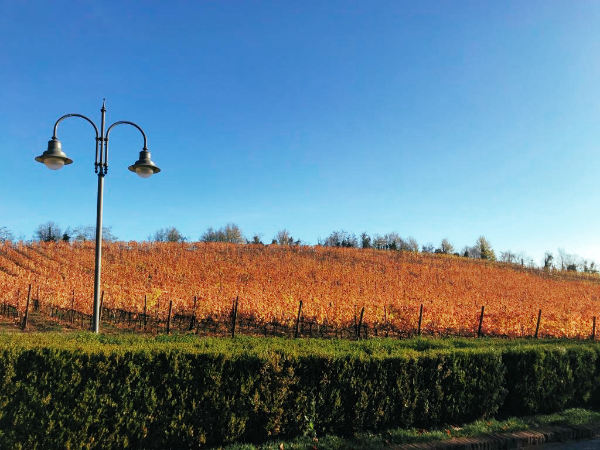 Fall escape in Piemonte & Villa Crespi